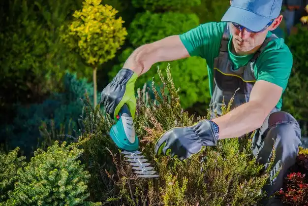 landscaping services Hartington